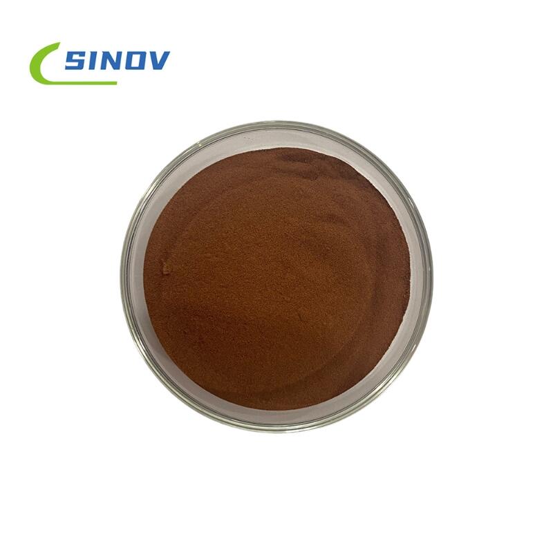 Factory supply Natural Bladderwrack Extract 5%-85% Extract Bladderwrack Powder