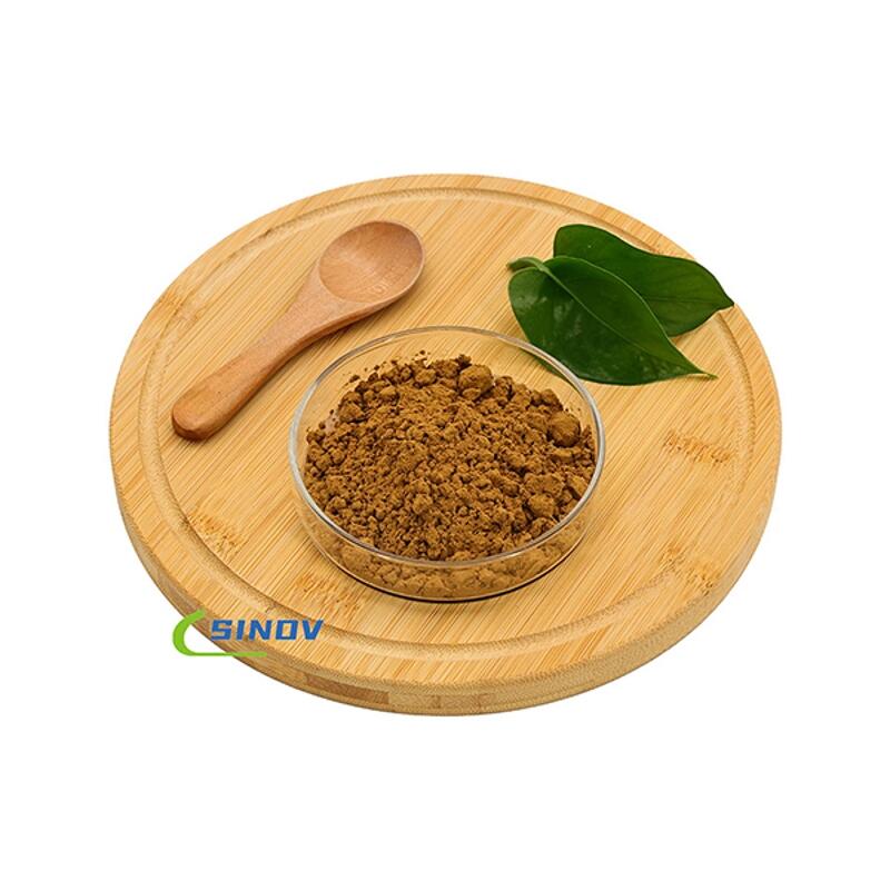 wholesale Best Quality Chaga Extract High Quality Chaga Mushroom Extract Powder