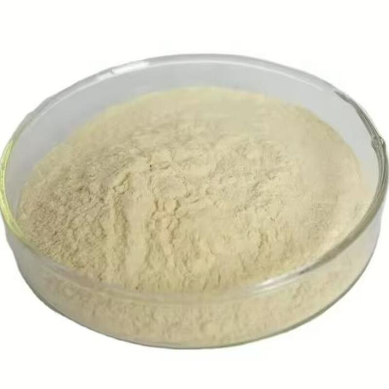 Food Additives Soy Lecithin Liquid Food Grade CAS 8002-43-5 Non-GMO Lecithin with Low Price