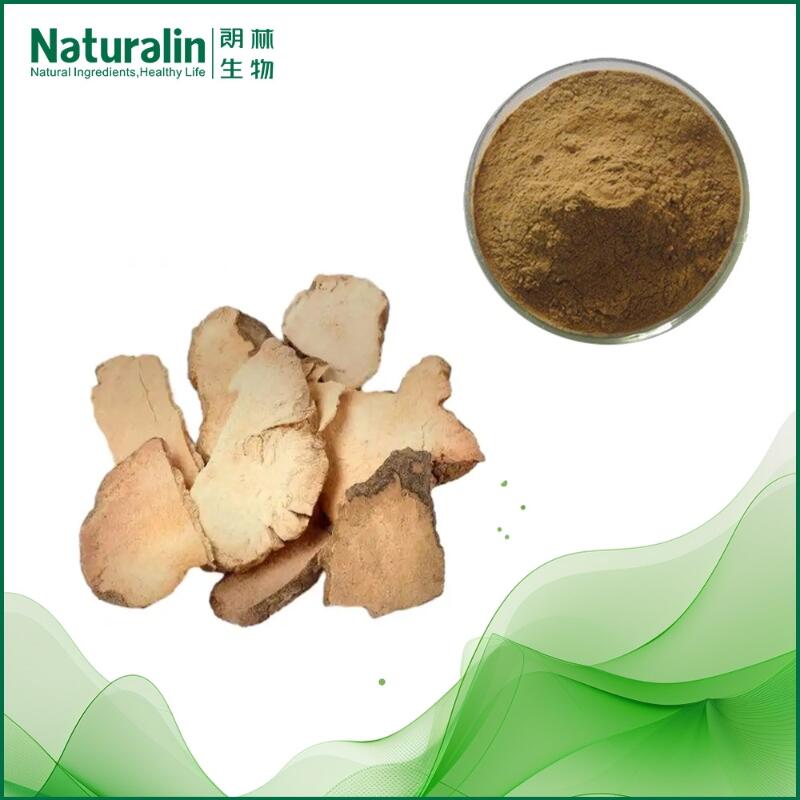 buy Poria cocos (Fu Ling) Extract