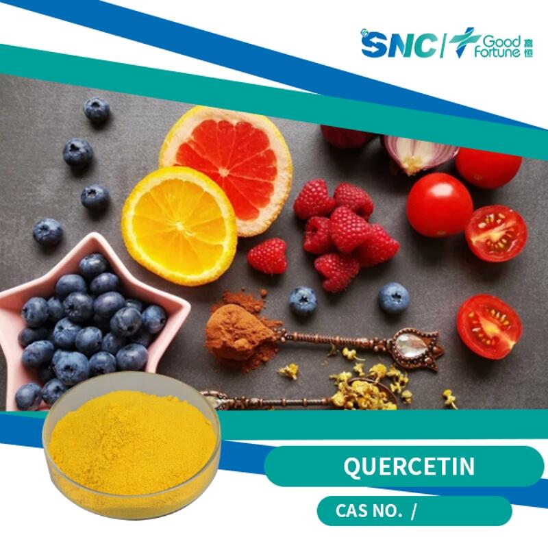 wholesale Quercetin 95% Yellow powder  SNC | Good Fortune