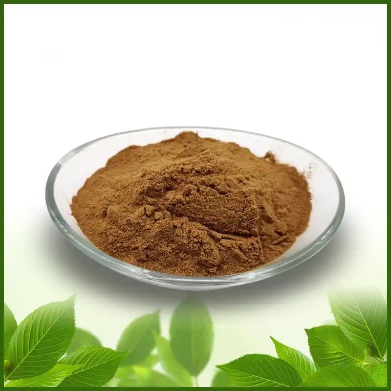 wholesale Agaricus blazei Extract Ratio/30%-50% Polysaccharides powder