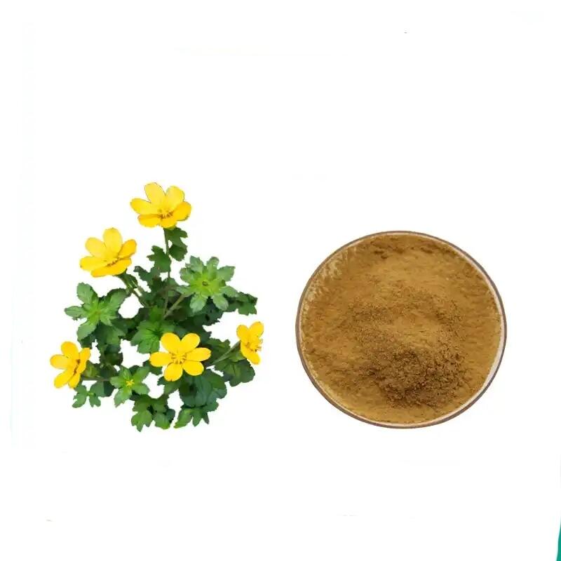 wholesale Cat's Claw Extract Ratio 4:1/10:1 Brownish yellow fine powder