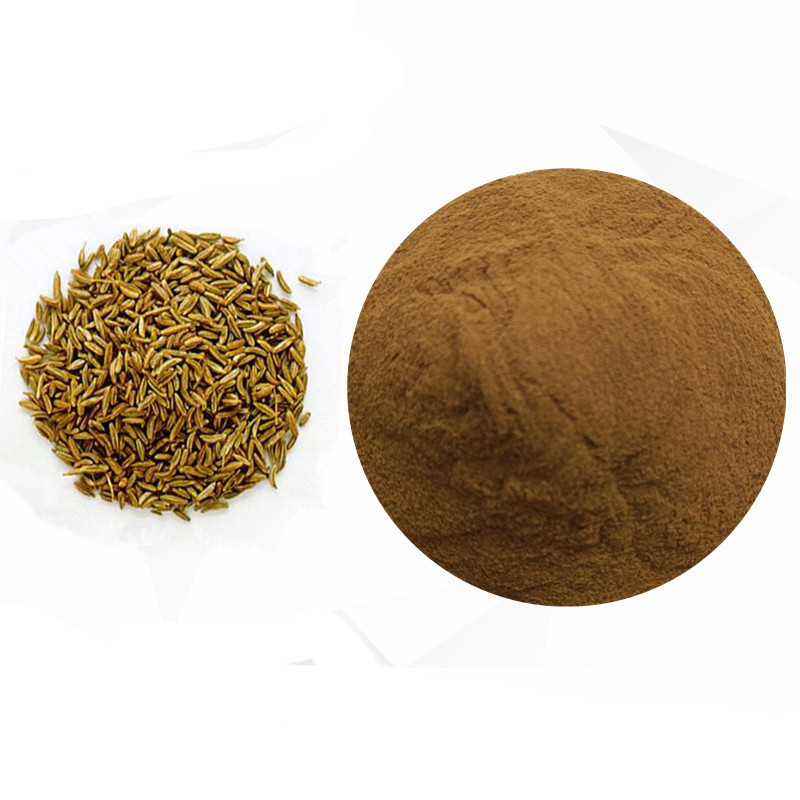 wholesale Celery Seed Extract  Ratio 4:1/10:1 fine powder