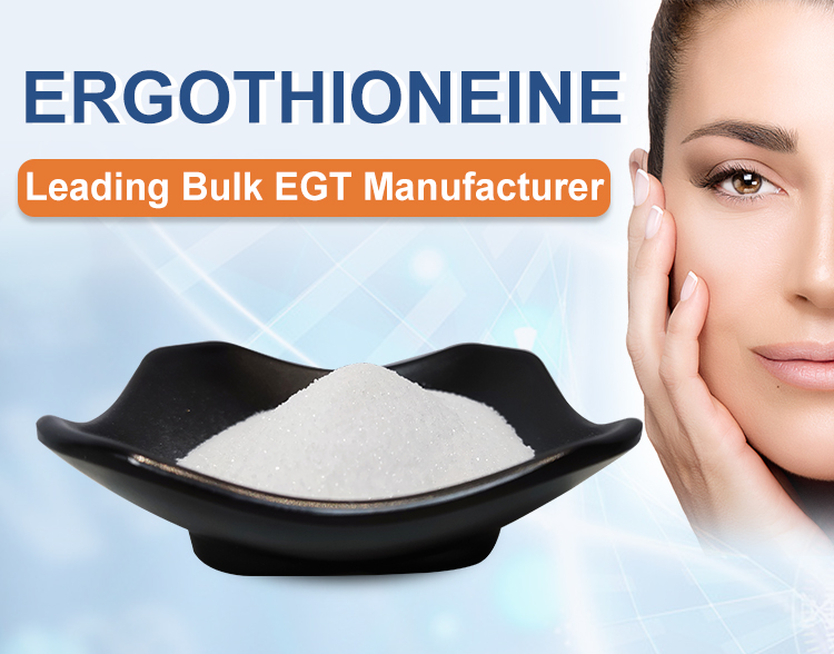 High quality food grade ergothioneine powder 99% ERGO mushroom funji for EGT skincare