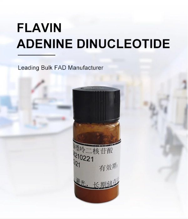 Bulk Flavin Adenine Dinucleotide/FAD disodium supply direct sale CAS 84366-81-4 fad powder