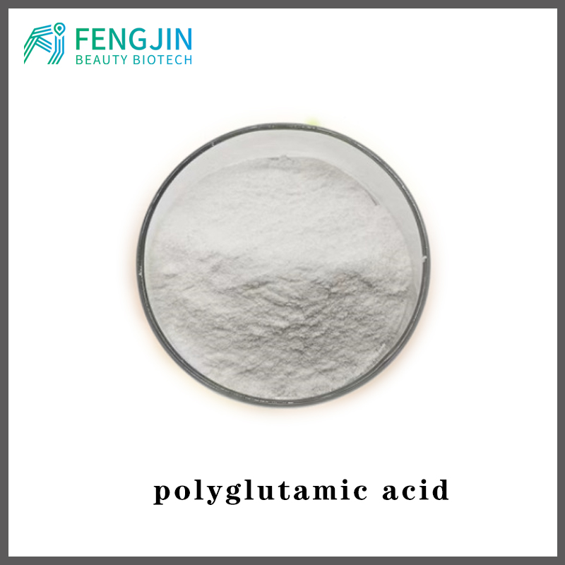 γ-polyglutamic acid high molecular weight γ-PGA Famous Manufacturer high quality