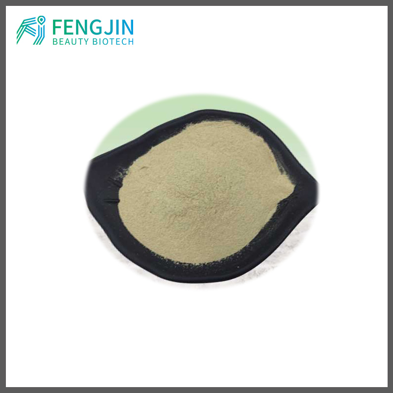 Ginseng root exract 1%~61%(HPLC) High quality