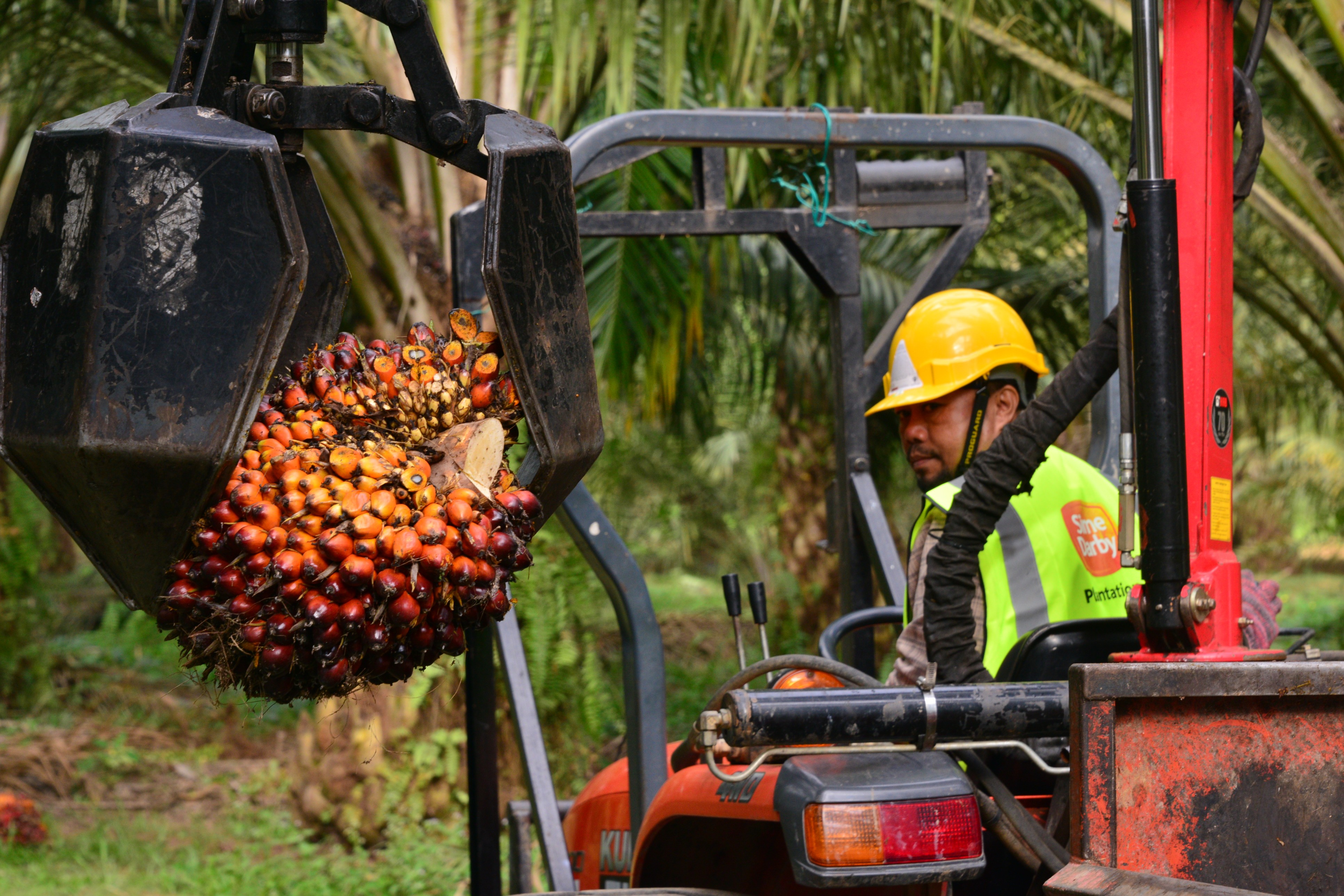 Sime Darby Oils Nutrition Sdn Bhd - Chemical Manufactory on ECHEMI