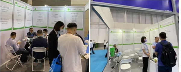 product-795-316 Shop High purity Apixaban Powder producer CAS 503612-47-3-Detailed Image 5